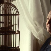 Cinque Continenti Film Festival 2015: vince il Il cortometraggio “Teatro”